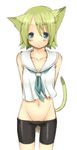  animal_ears arms_behind_back bike_shorts blue_eyes blush cat_ears cat_tail copyright_request flat_chest green_hair groin highres lowleg majima_yuki school_uniform serafuku short_hair simple_background solo tail 