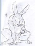  balls big_ears bunnymund claws crouching easter_bunny eyes_closed lagomorph male mammal penis rabbit rise_of_the_guardians sheath sketch solo uncolored 