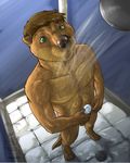  anthro balls biceps brown_fur brown_hair claws convenient_censorship eclipsewolf flaccid fur green_eyes hair male mammal muscles mustelid nude otter pecs penis pose sad shower soap solo toe_claws uncut water wet whiskers 