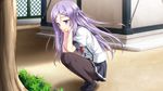  1girl amou_mikage black_legwear blush boots female game_cg hair_ornament hairclip kikurage_(plastic_people) long_hair pantyhose plant purple_eyes purple_hair school_uniform shiawase_kazoku-bu shiawase_kazokubu skirt solo tree 