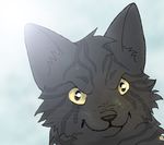  angry black_fur cat darkstripe4ever feline feral fur mammal plain_background simple_background white_background yellow_eyes 