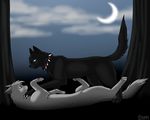  ashfur ashfur_(warriors) black_fur blue_sclera cat claw_necklace cloud clouds collar crescent_moon dominating domination embrace eye_contact feline feral feral_on_feral forest freckles fur gay grey_fur korcika lying male mammal moon moonlight night on_back outside scourge scourge_(warriors) spiked_collar submissive tree warriorcats warriors_(cats) white_claws 