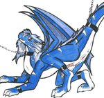  anus blue_body butt chain collar digitigrade dragon erection feral herm hindpaw intersex leash nude paws penis plain_background pussy raised_tail scalie solo tylon tylon_(character) white_background wings 