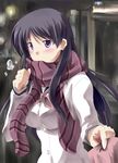  blush jacket long_hair mister_(black_and_white) saki saki_achiga-hen scarf senriyama_school_uniform shimizudani_ryuuka solo winter_uniform 