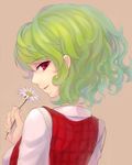  aozora-c flower green_hair kazami_yuuka plaid profile red_eyes shirt short_hair solo touhou vest 