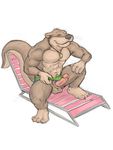 balls big_penis erection holcomb lawn_chair looking_at_viewer male mammal mudwolfy mustelid necklace nude otter penis shell sitting_down solo spread_legs spreading swimming_trunks swimsuit 