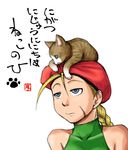  animal animal_on_head antenna_hair bare_shoulders beret blonde_hair blue_eyes braid cammy_white cat cat_focus cat_on_head green_leotard hat leotard long_hair mimiyama_kiichi on_head scar street_fighter translated twin_braids 