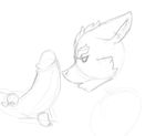  canine claws duo erection fox fox_mccloud gay humanoid_penis licking loop male mammal nintendo oral oral_sex penis sex sketch star_fox tongue tzarvolver uncolored video_games 