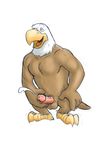  balls bird cum cumshot eagle erection holcomb male masturbation mudwolfy orgasm penis solo 