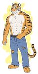  anthro belt biceps black_fur chest_tuft claws clothed clothing feline fur green_eyes half-dressed jeans looking_at_viewer male mammal muscles nipples orange_fur pants pecs plain_background pose sofakinggood solo standing tiger toe_claws topless torn_clothing tuft whiskers white_fur 