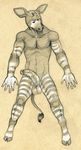  anthro balls biceps big_penis body_markings flaccid fur half-erect hooves humanoid_penis lying male markings muscles nude okapi pecs penis pose sketch solo standing stripes tush vein 