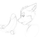  anthro black_and_white disembodied duo fox_mccloud gay licking loop male monochrome nintendo oral penis plain_background star_fox tongue tzarvolver video_games white_background 