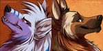  anthro black_nose blue_eyes canine duo hair icons mammal silverdeni simple_background 