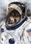  american_flag canine clothing flag looking_at_viewer male mammal nasa_logo racoonwolf solo spacesuit wolf 