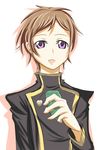  brown_hair code_geass highres male_focus purple_eyes rolo_lamperouge solo towamin 