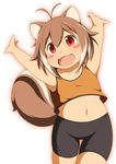  ahoge animal_ears armpits arms_up belly bike_shorts blazblue blush_stickers brown_hair child highres makoto_nanaya mirano navel orange_shirt red_eyes shirt shorts solo squirrel_ears squirrel_girl squirrel_tail tail younger 