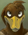  amara_telgemeier avian bird brown_feathers charlie duck green_eyes looking_at_viewer male plain_background simple_background solo 