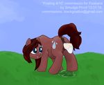  amniotic_sac anatomically_correct anatomically_correct_pussy animal_genitalia birth birthing blue_eyes brown_fur brown_hair cutie_mark equine equine_pussy female feral flower flower_in_hair foaling friendship_is_magic fur grass hair horse mammal my_little_pony original_character outside pony pregnant presenting pussy raindancer raindrop smudge_proof solo sweat 