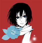  black_hair blue_eyes flower hirose_naako mikasa_ackerman scarf shingeki_no_kyojin short_hair smile solo 