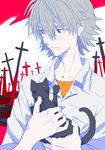  black_cat cat chocolate_sable cross male_focus nagisa_kaworu neon_genesis_evangelion red_eyes solo white_hair 