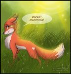  abby ambiguous_gender canine english_text feral fox mammal orange_eyes pawspose rukifox solo text 