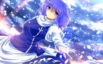  apron blue_dress blue_eyes blue_hair dress hat highres juliet_sleeves letty_whiterock long_sleeves looking_at_viewer nekominase outstretched_arm outstretched_hand puffy_sleeves smile snow solo touhou waist_apron 