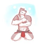  bulge canine clothing horrorbuns jockstrap kneeling looking_at_viewer male mammal muscles seductive shirt sleeveless_shirt solo tank_top underwear undressing wolf 