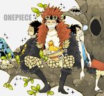  3boys bird black_hair boots clenched_teeth eustass_captain_kid goggles hat_removed hoodie jeans leaning male monkey_d_luffy multiple_boys nest one_piece open_jacket pirate red_hair sandals sash shorts sitting sleeping title_drop trafalgar_law tree vest 