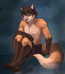  beard biceps blue_eyes brown_fur brown_hair brown_nose canine facial_hair fluffy_tail fox hair half-dressed happy looking_at_viewer muscles open_mouth pawpads pecs smile solo teeth topless treats 