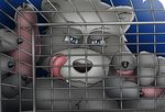  blue_eyes cage captive fur grey_fur looking_at_viewer male mammal pointing raccoon rape_face source_request teeth tongue tongue_out 
