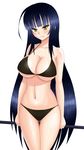  9-ku bad_id bad_pixiv_id bikini black_hair breasts cleavage highres ikaruga_(senran_kagura) large_breasts long_hair navel senran_kagura senran_kagura_shoujo-tachi_no_shin'ei solo swimsuit yellow_eyes 