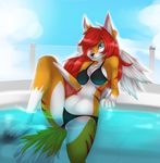  bikini canine female fox pool tight_clothing wings 