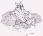  abe_groter canine clothed clothing dog half-dressed husky looking_at_viewer male mammal reclining skimpy_clothing topless water 