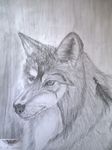  bluewings canine dog k9 pencil wolf 