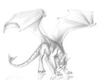  black_and_white blajn body_markings claws dragon drangnel_(character) feral gryph000 horn male markings monochrome plain_background reflection scalie smile solo standing white_background wings 