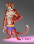  dreamworks feline madagascar male mammal ring russian solo tevionbee tiger vitaly vitaly_the_tiger 
