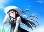  black_hair blue_eyes hat shirakawa_sayaka solo suika_(game) 