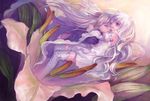  barasuishou closed_eyes eyepatch flower kirakishou long_hair miya_(foolish_order) multiple_girls rozen_maiden silver_hair thighhighs white_hair yellow_eyes 