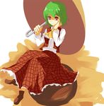  ascot flower green_hair hand_on_own_face kazami_yuuka light_smile mieharu plaid plaid_skirt plaid_vest red_eyes shaded_face short_hair sitting skirt skirt_set solo sunflower touhou umbrella vest 