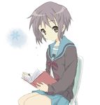  bad_id bad_pixiv_id book brown_eyes cardigan chair core_(mayomayo) grey_hair kita_high_school_uniform nagato_yuki reading school_uniform serafuku short_hair solo suzumiya_haruhi_no_yuuutsu 