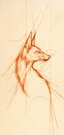  ambiguous_gender canine feral fox mammal orange_background plain_background sketch skia solo 
