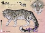  feline female feral fluffy heterochromia leopard long_tail looking_at_viewer mammal mane model_sheet pawpads ribbons smile snow_leopard solo teeth whiskers xiana 