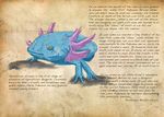  english gen_2_pokemon michael_casteel no_humans pokemon pokemon_(creature) realistic text_focus wooper 