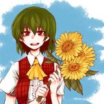  ascot bad_id bad_pixiv_id blush flower green_hair kazami_yuuka kikuichi_monji looking_at_viewer red_eyes smile solo sunflower touhou 