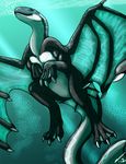  and anthro black cetacean cool_colors dragon drift drift_tide female green_theme hybrid isil killer male mammal marine msako orca sea tide underwater water whale white wings 