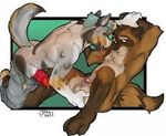  anal anal_fingering canine fingering raccoon wolf 