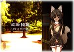  2010 acea4 animal_ears arms_behind_back brown_eyes brown_hair fukuhana_(acea4) long_hair looking_at_viewer original smile solo tail translation_request 