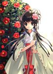  bamboo_broom bangs braid broom brown_eyes brown_hair bush camellia copyright_request flower hair_flower hair_ornament hair_ribbon hakama haori highres itou_noiji japanese_clothes long_hair looking_at_viewer low_twintails miko pink_flower pink_rose red_hakama ribbon ribbon-trimmed_sleeves ribbon_trim rose sidelocks smile solo twintails 