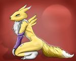  anthro black_sclera blue_eyes canine chest_tuft digimon fox fur glove hand_on_knee male mammal naughty_face nude paws plain_background pose purpel red_background renamon runn side_view sitting slim solo tuft white wiskar yang yellow yellow_fur ying 