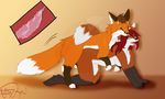  anthro anthro_on_feral bestiality breasts female feral fingerless_(marking) fucked_silly fur gloves_(marking) internal interspecies male markings mattsykun misha_(charater) misha_(rennec) nude penetration sex socks_(marking) straight toe_curl toeless_(marking) tongue tongue_out werefox_(character) werefox_(charater) 